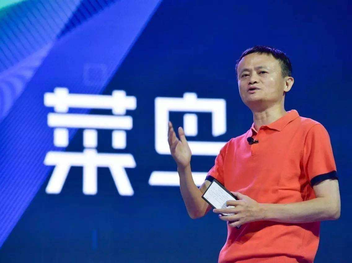 哈士奇眼睛的护卫：波奇网带你了解如何保护哈士奇的眼睛健康