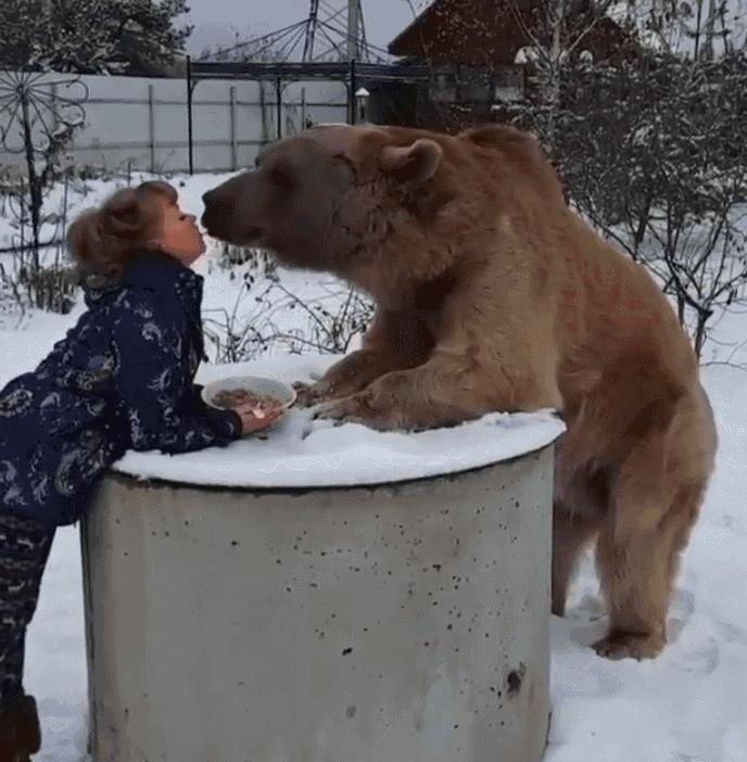 宠物每天几点吃饭最健康? 宠物每天几点吃饭最健康?