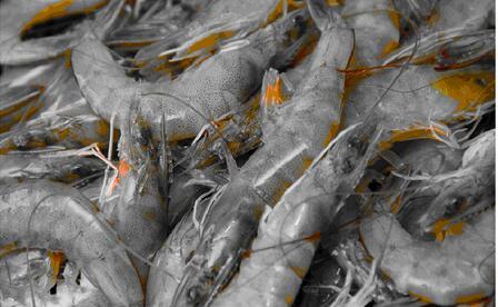 寄快递怎么收费才不亏？