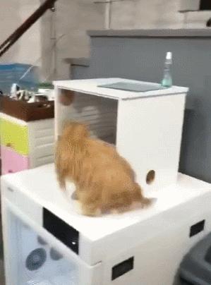 2024年结婚选哪天？翻开黄历我彻底懵了