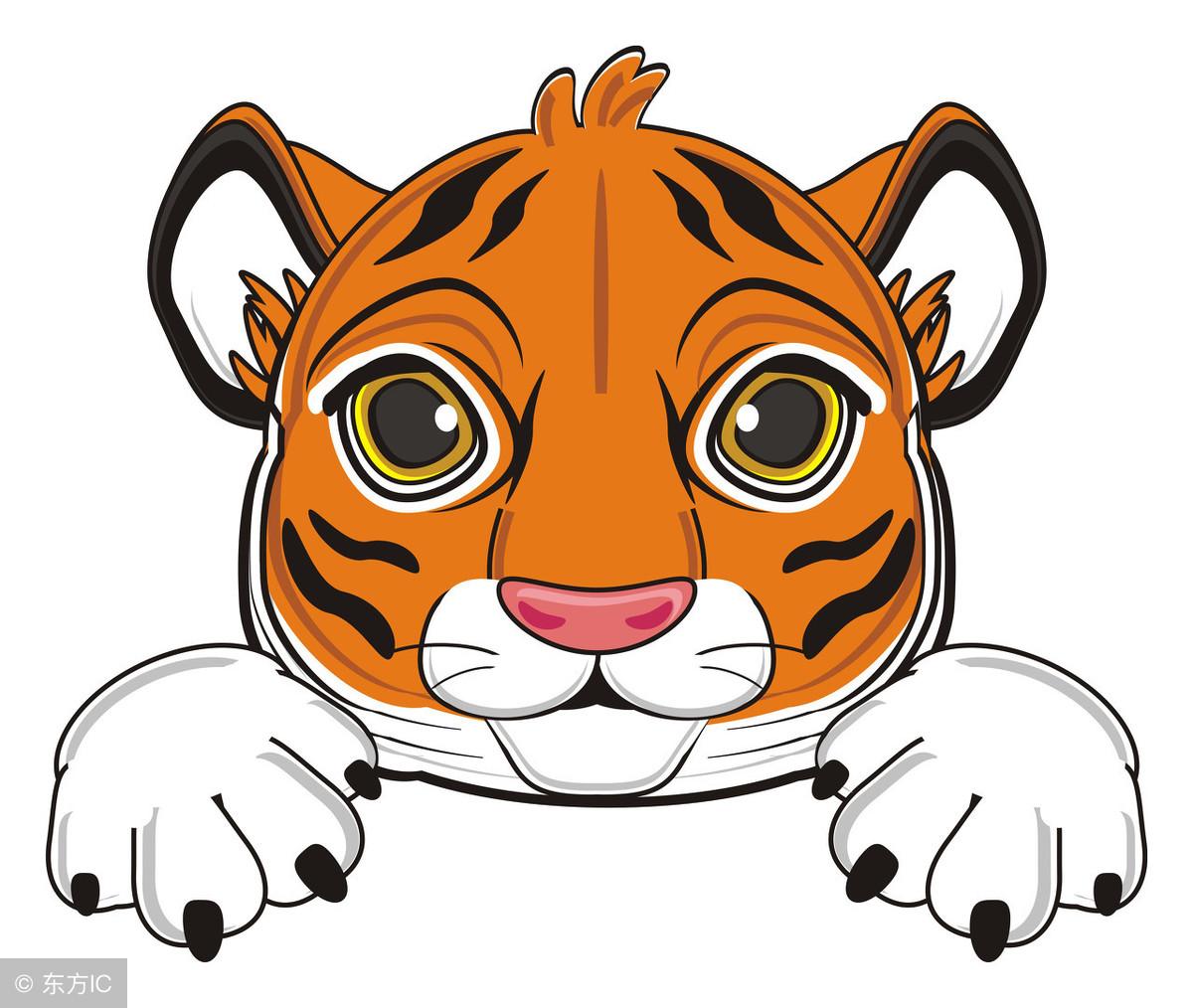 属兔的人找对象该选啥属相最靠谱？