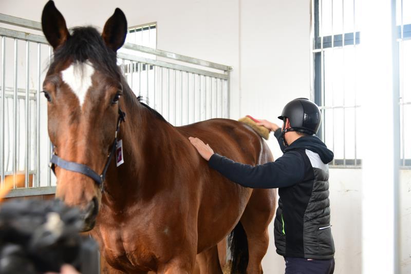 免费宝宝取名网真的靠谱吗？