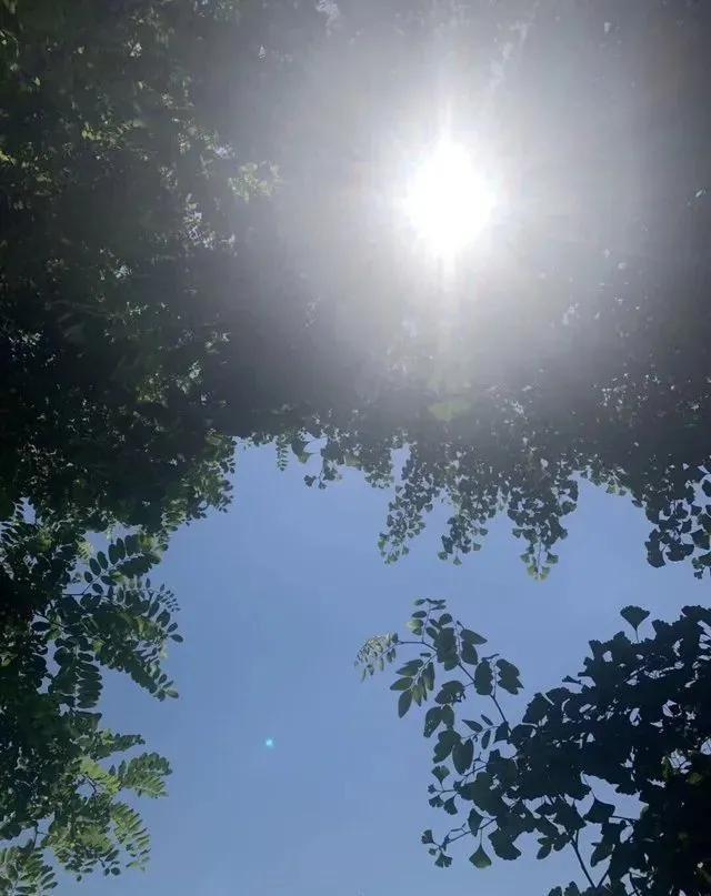 新手如何选到最适合自己的智能手表？