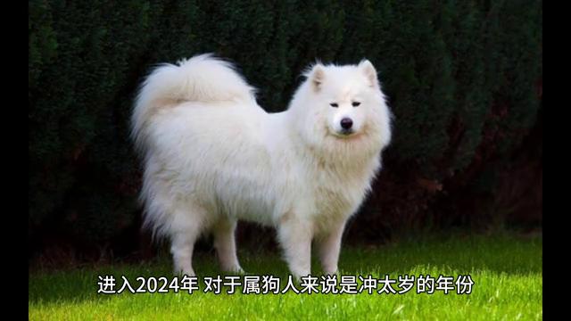 2023年最潮流的晗字名字推荐，给宝宝起个时尚好名