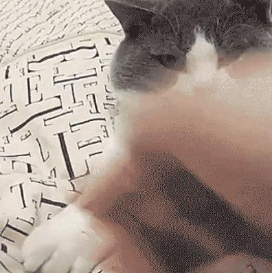 淘宝优惠券到底藏哪儿了？