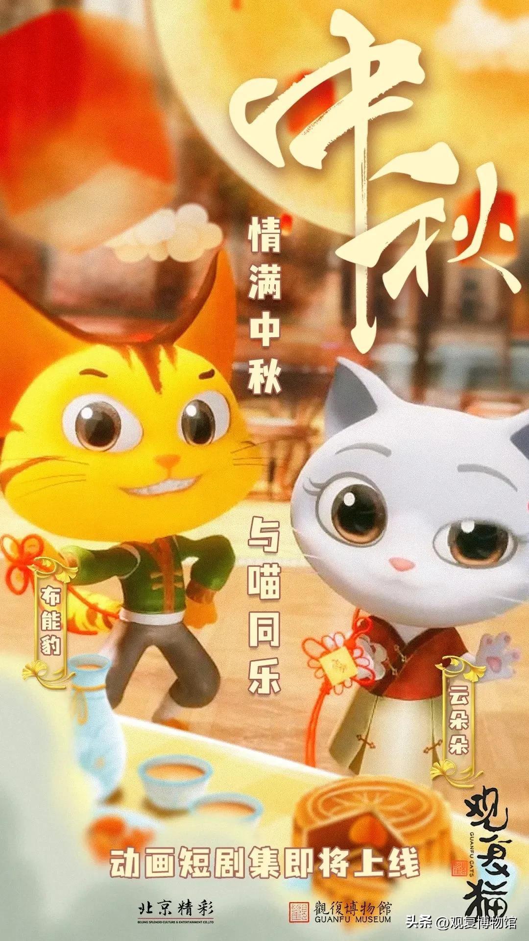 岩鸽这玩意儿到底该怎么养才不会翻车？