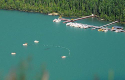 天猫店铺美工常见问题解析：这10个关键点你必须掌握