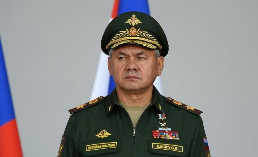 养迷你垂耳兔真的像养毛绒玩具一样简单吗？