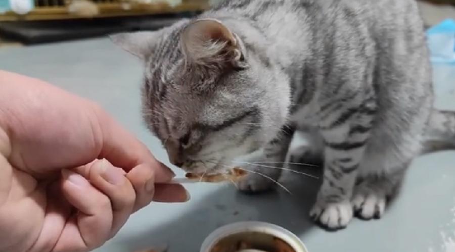 打京东投诉电话总是占线？人工服务到底怎么找？