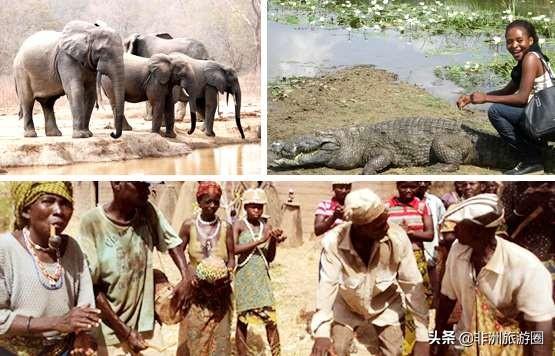 属虎的人找对象必须看生肖吗？