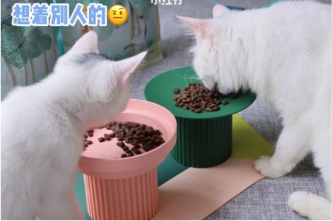 小红书居然还有网页版？电脑上刷种草攻略更方便吗？