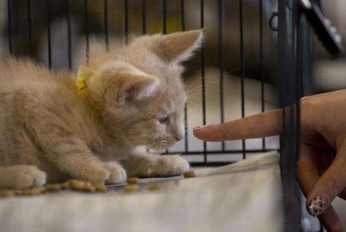 假模服装模特拍摄技巧大揭秘：提升服装展示效果的实用指南