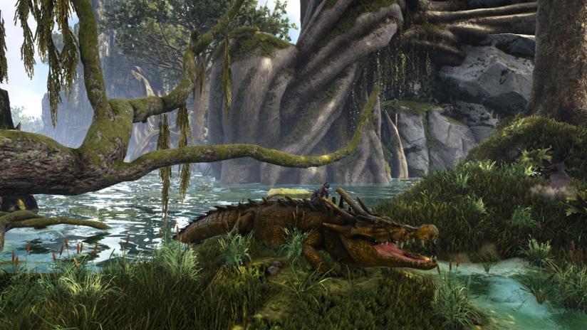 为什么你永远追不上那些神出鬼没的动物？