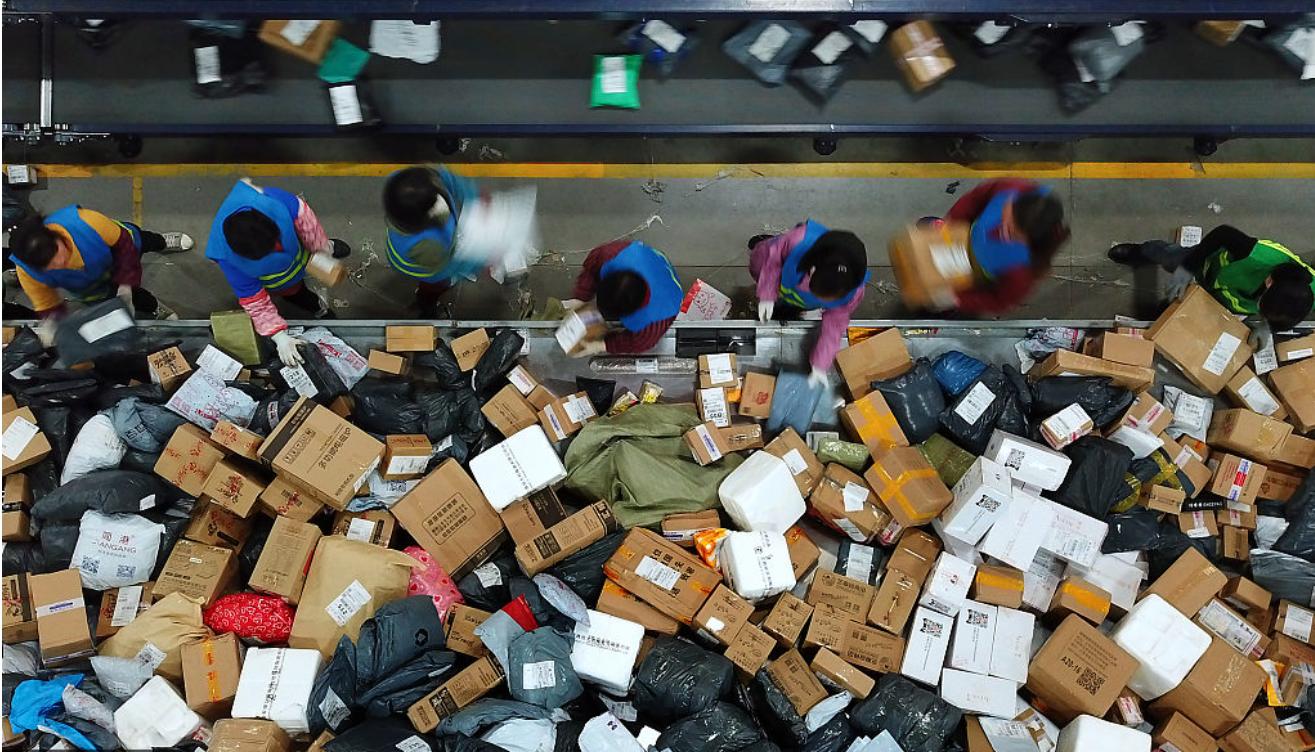 金蛋网到底靠不靠谱？新手避坑指南来了！