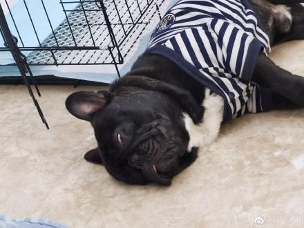 华人论坛里的姐妹都藏在哪个版块聊真心话？