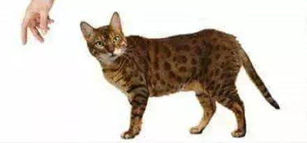 梦见自己变鬼是不是要倒大霉了？