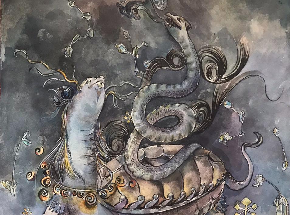 绿毛龟的绿毛是自己长出来的吗？