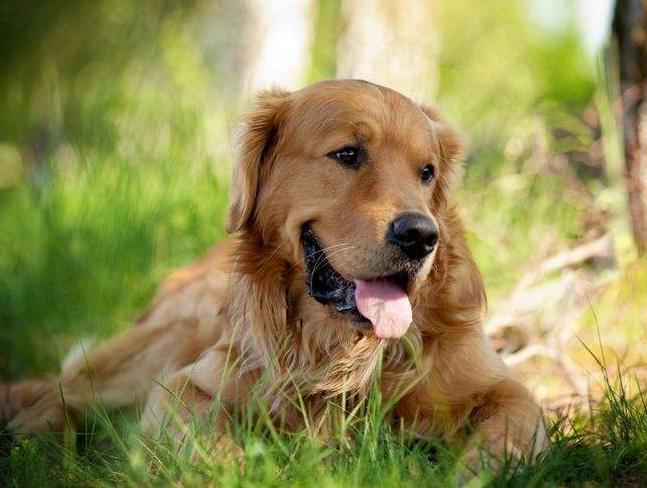 淘宝买汽车配件真的能省一半钱吗？