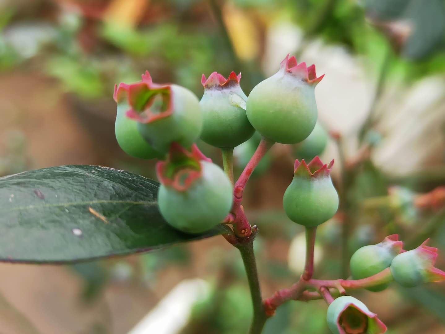 淘宝突然打不开？这5招让你秒变网购达人！