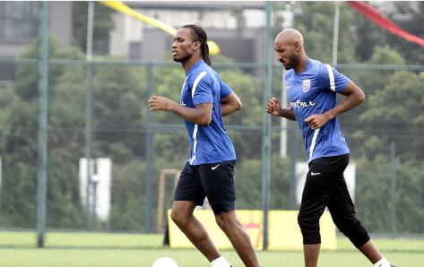 波奇——全面关爱宠物生活，为宠物打造全方位呵护