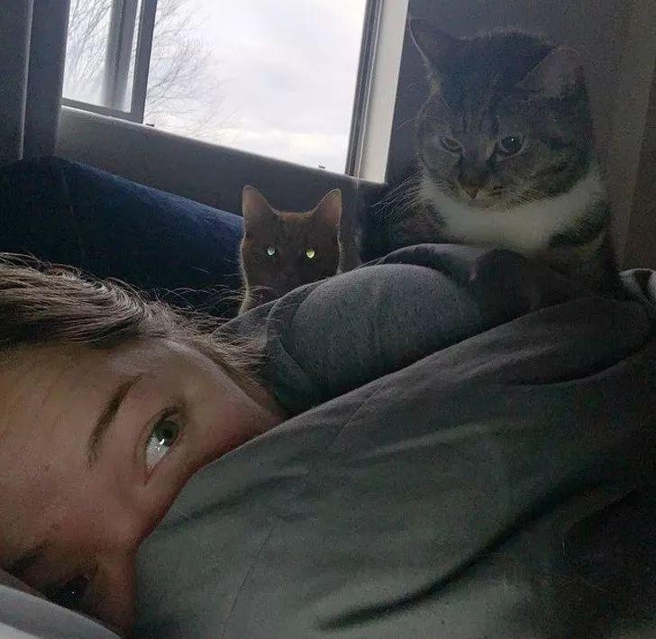 抖音官网推出全新桌面端聊天软件——抖音聊天，随时随地畅聊无阻