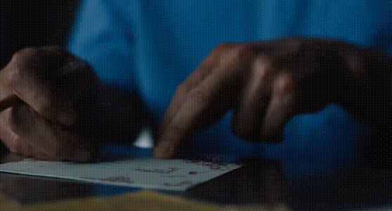 你敢养一只巴掌大的毒蜘蛛吗？