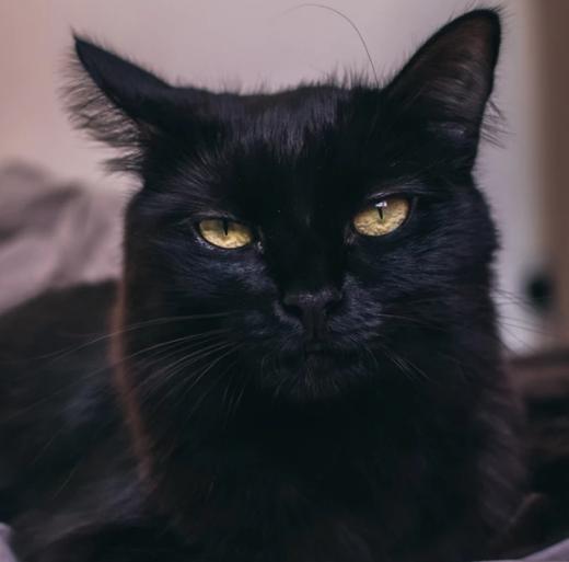 免单活动真的能白嫖吗？