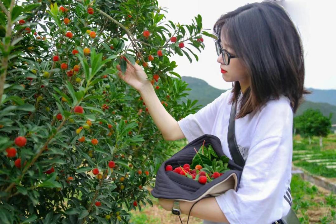 在魅力惠买大牌真的能省一半钱吗？