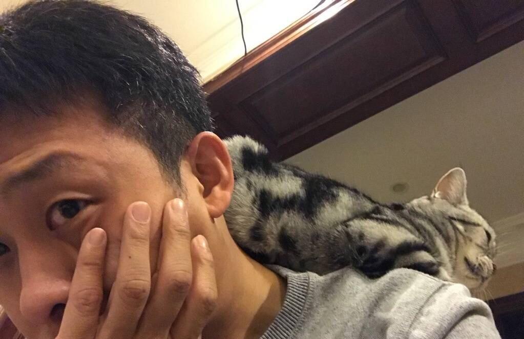 2012年2月1日到底该怎么安排才不浪费？