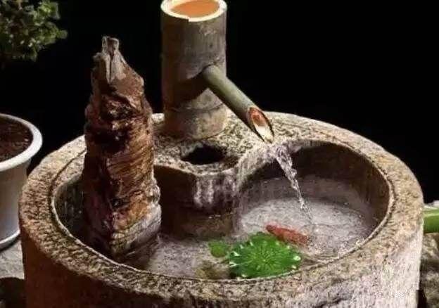 养金鱼数量有讲究：根据风水选择合适数量