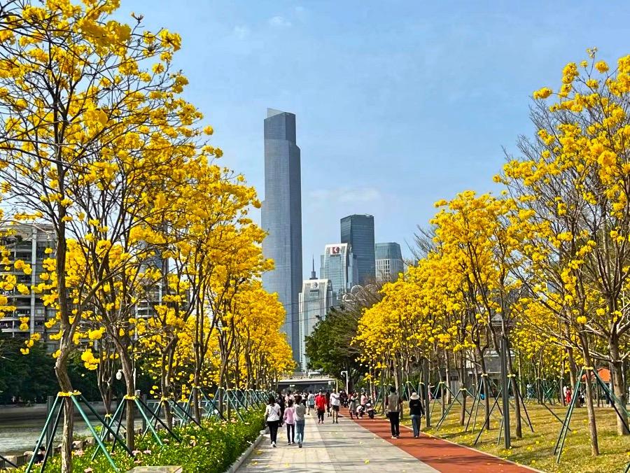 街头邂逅真能擦出爱情火花吗？