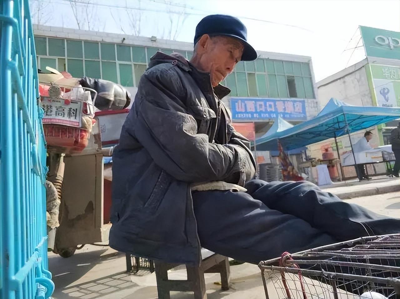 信鸽为什么能千里送信不迷路？