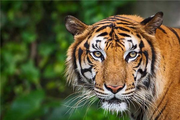 财运预测方法_财运预测免费_财运预测