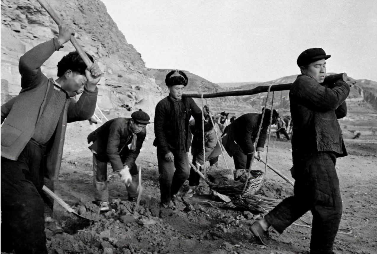 家里进老鼠怎么办？新手必看的灭鼠实战指南