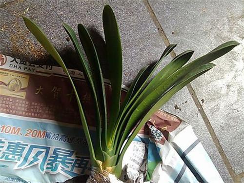 淘宝买东西真的不会被坑吗？