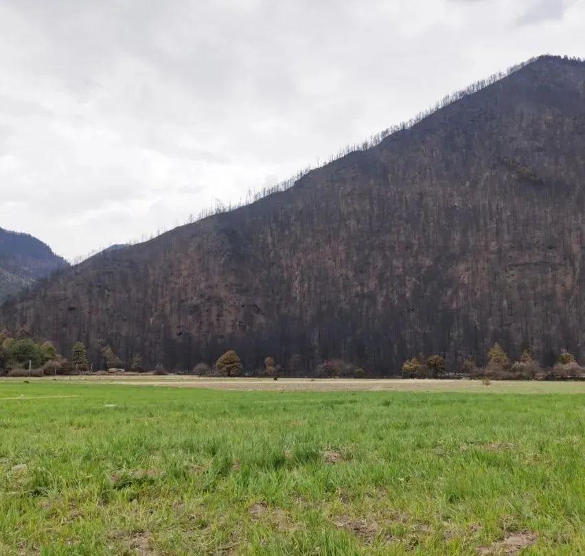 2017年4月18日究竟藏着什么游戏秘密？