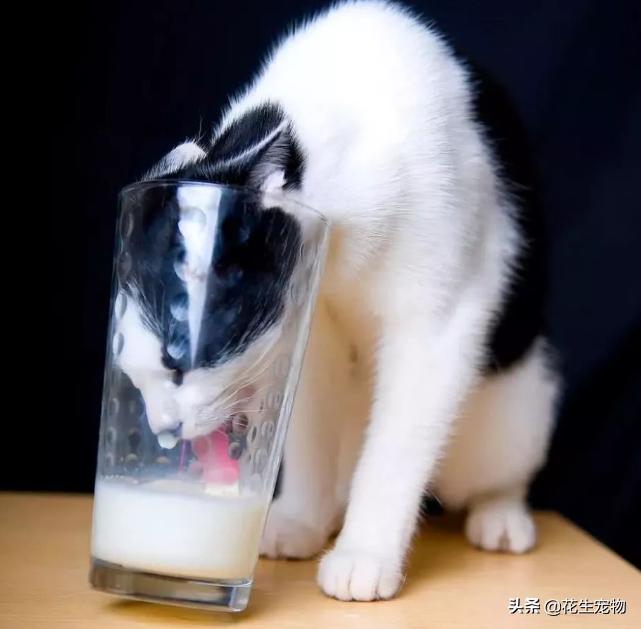 淘宝上哪些小类目产品能让新手闷声发财？