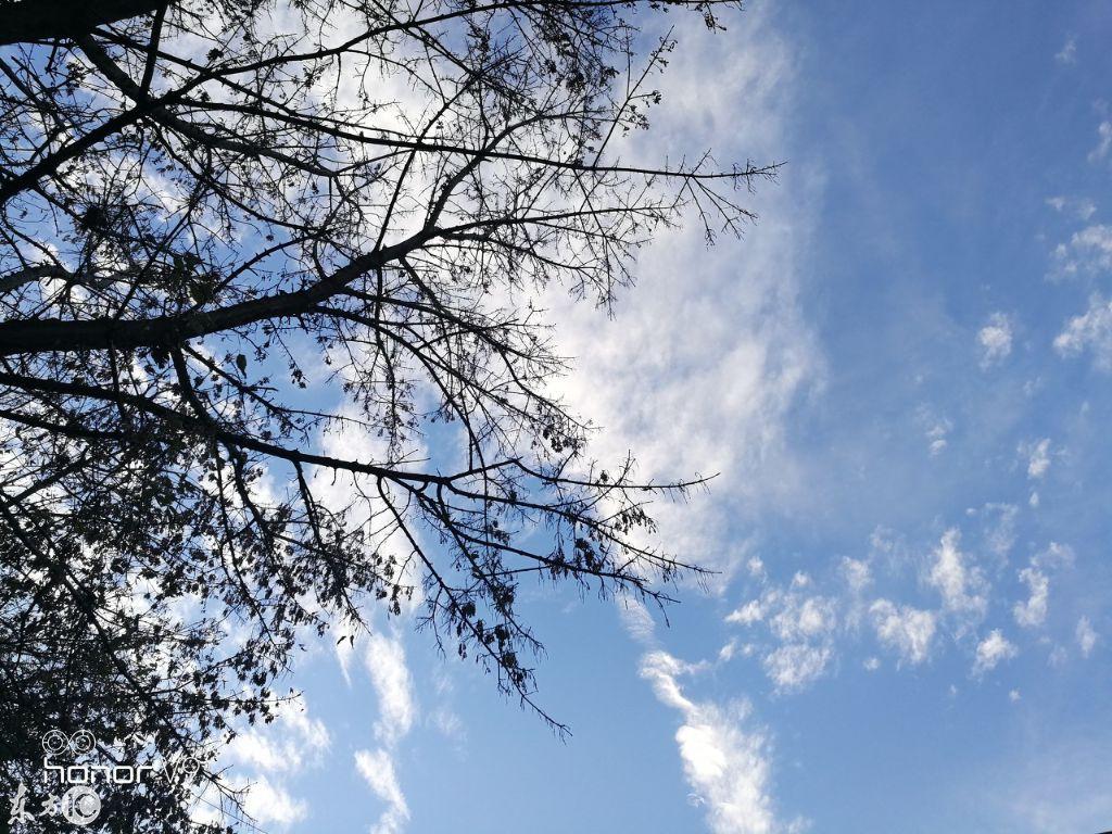 今天阴历到底有啥用？