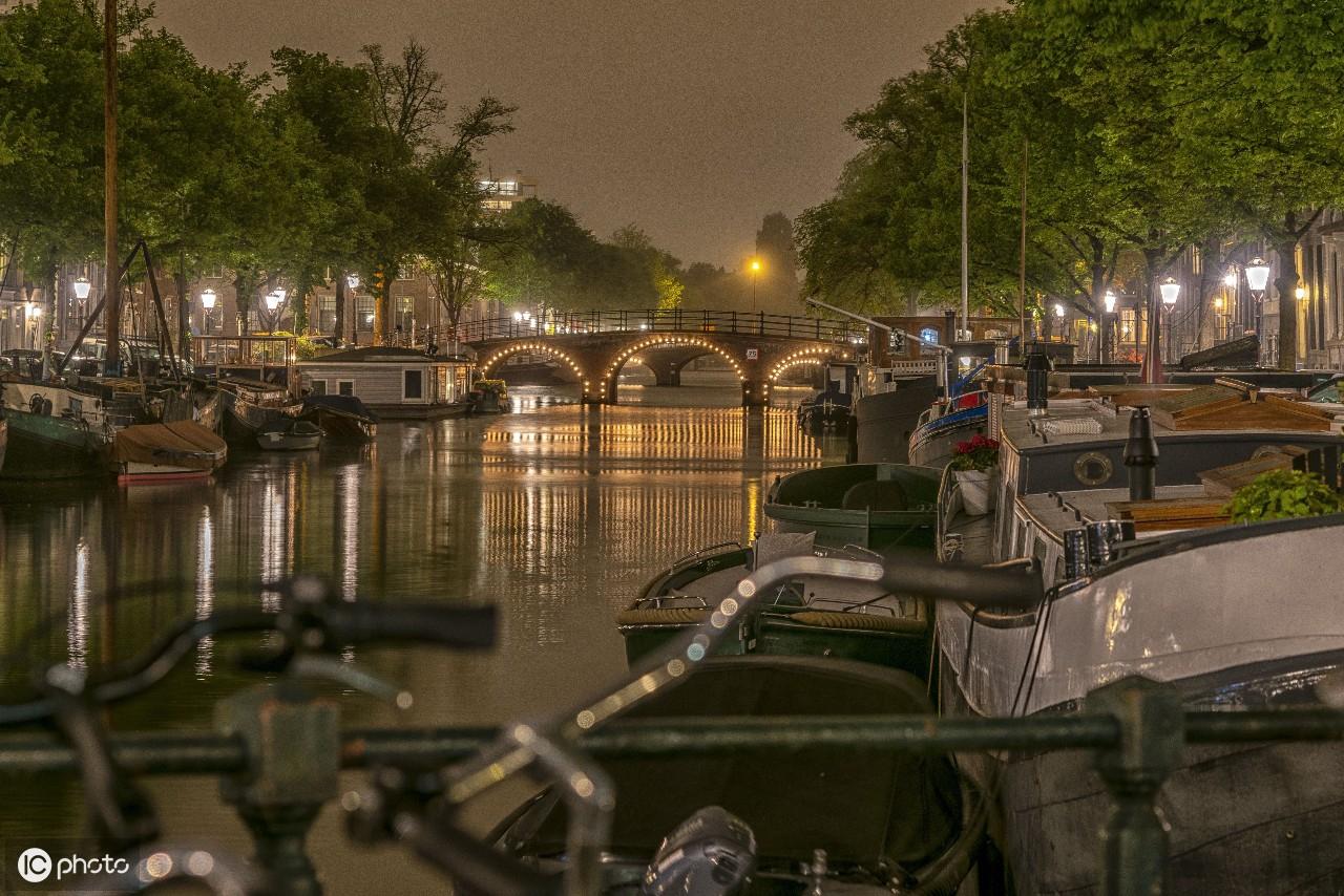 犬瘟热治疗到底要掏空多少钱包？