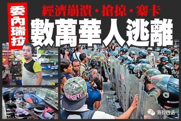 为什么别人的豹龟养得油光水滑，你的却蔫了吧唧？