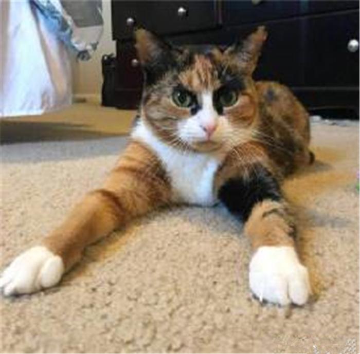 2010年8月24日出生的人命运如何？详细解析其命理特点