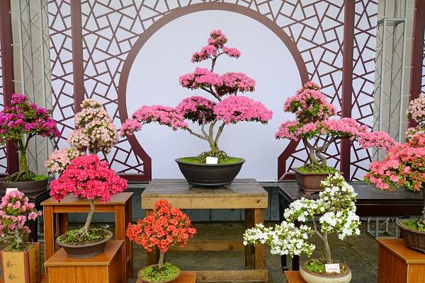 免费姓名评分真的靠谱吗？