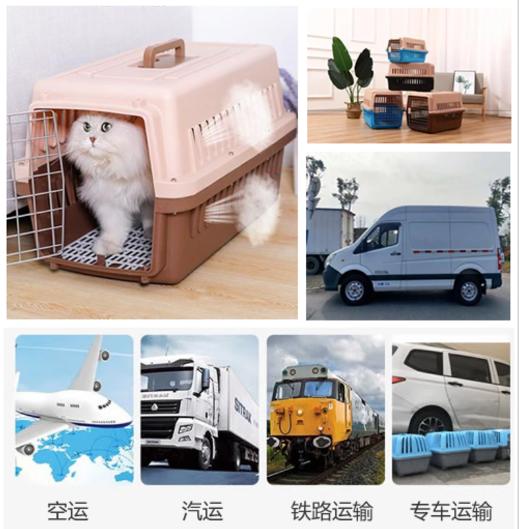 淘集集上3块钱的T恤能穿吗？新手防坑指南来了