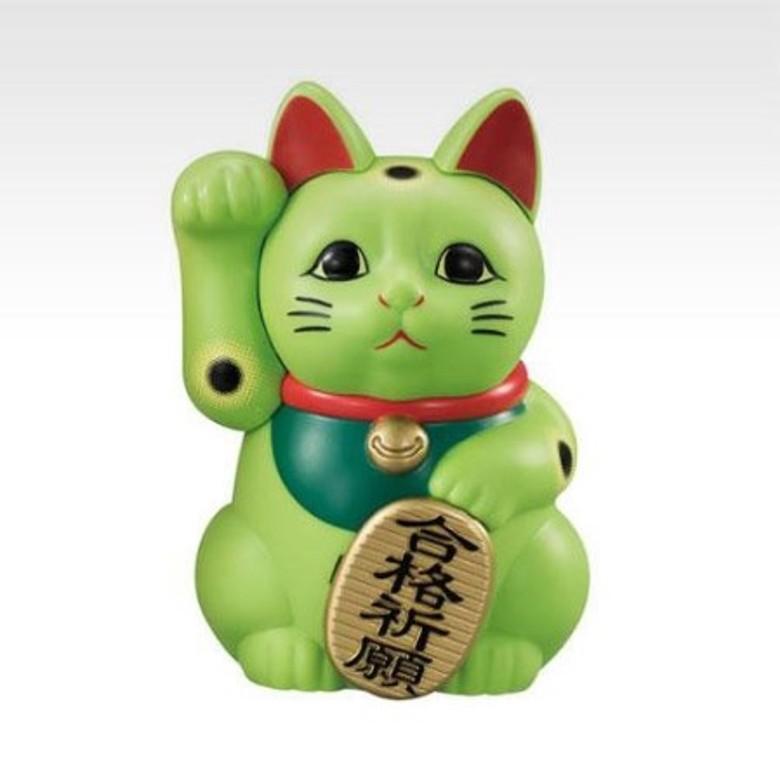 招财猫鱼能下盐吗？了解该鱼对盐量的极低需求