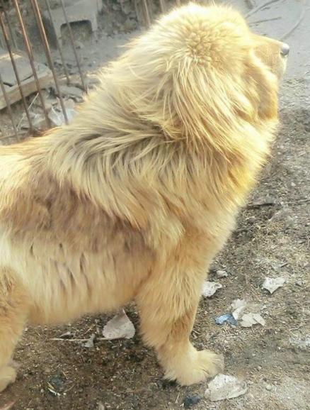 在淘宝买耐克鞋到底靠不靠谱？