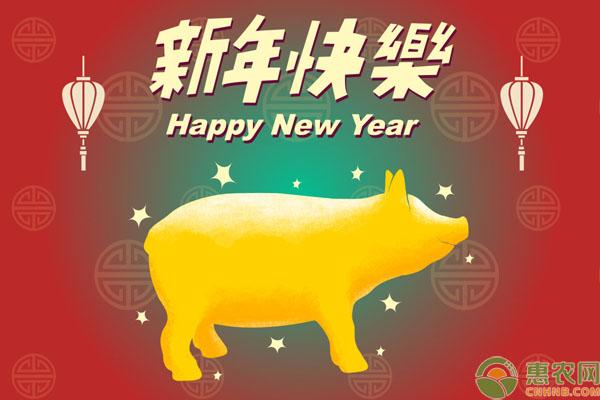 养海龙鱼真的像养普通热带鱼一样简单吗? 养海龙鱼真的像养普通热带鱼一样简单吗?