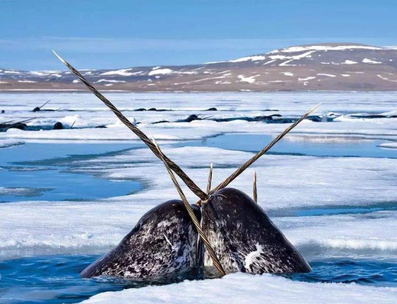 掌纹真的能看透你的人生吗？