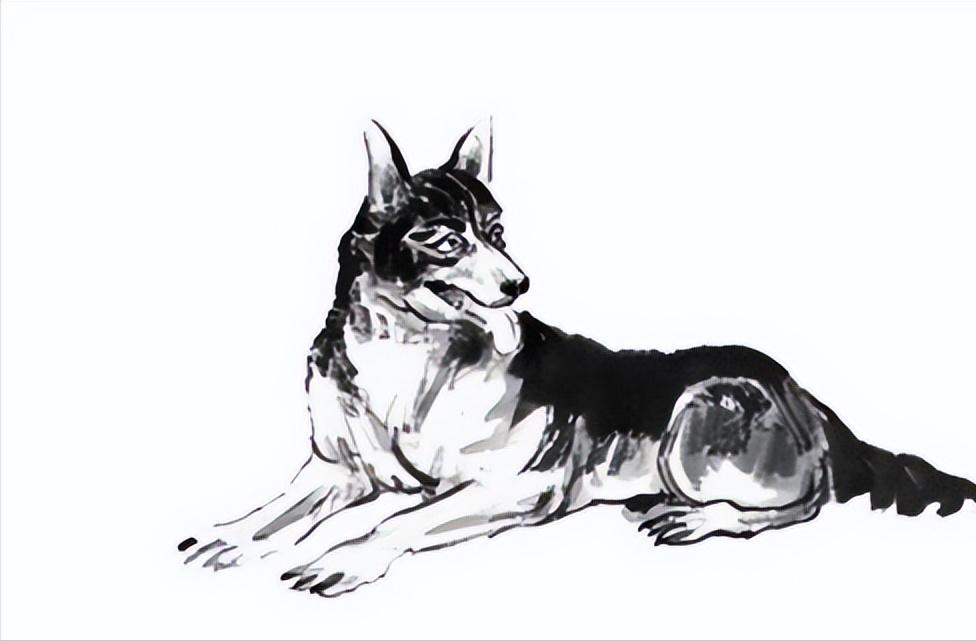 2019年出生的人到底属猪还是属狗？