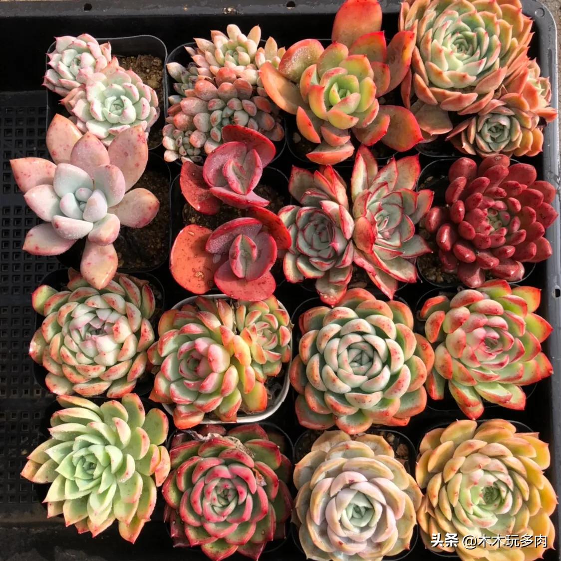 新手如何在淘宝上架第一个商品？