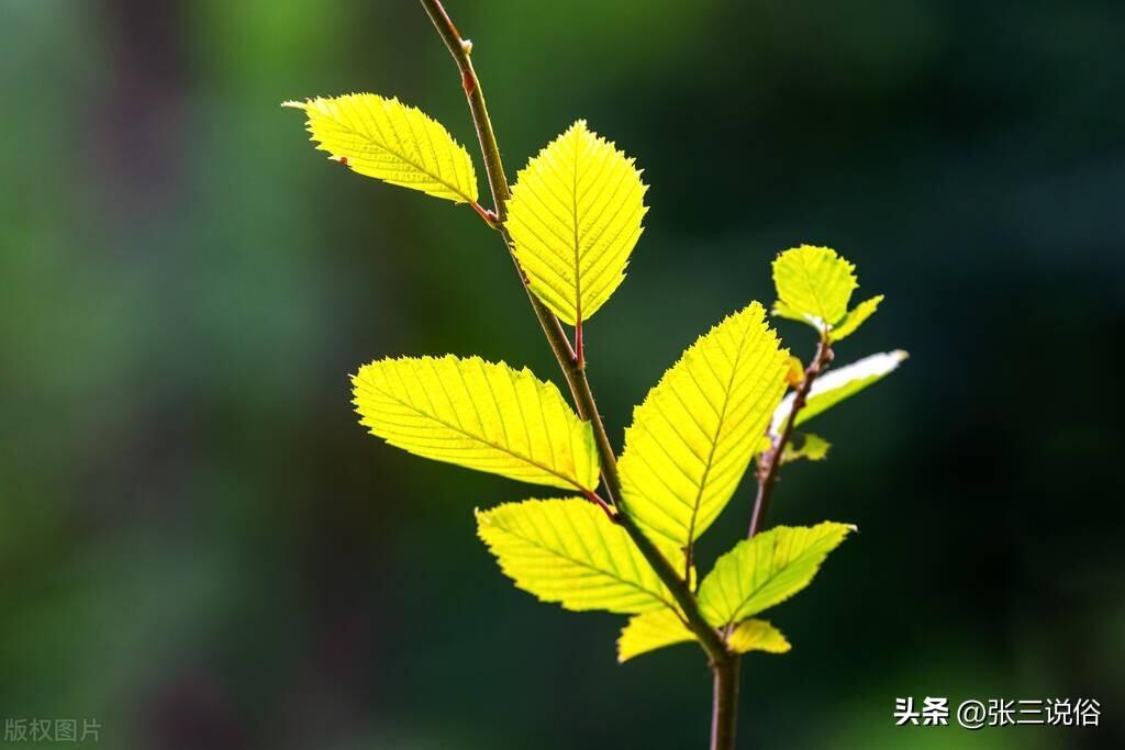 互刷信誉平台：你以为的捷径，可能是个深坑！